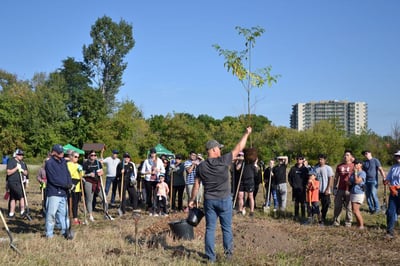 Projet de restauration de zones humides à Woodstock