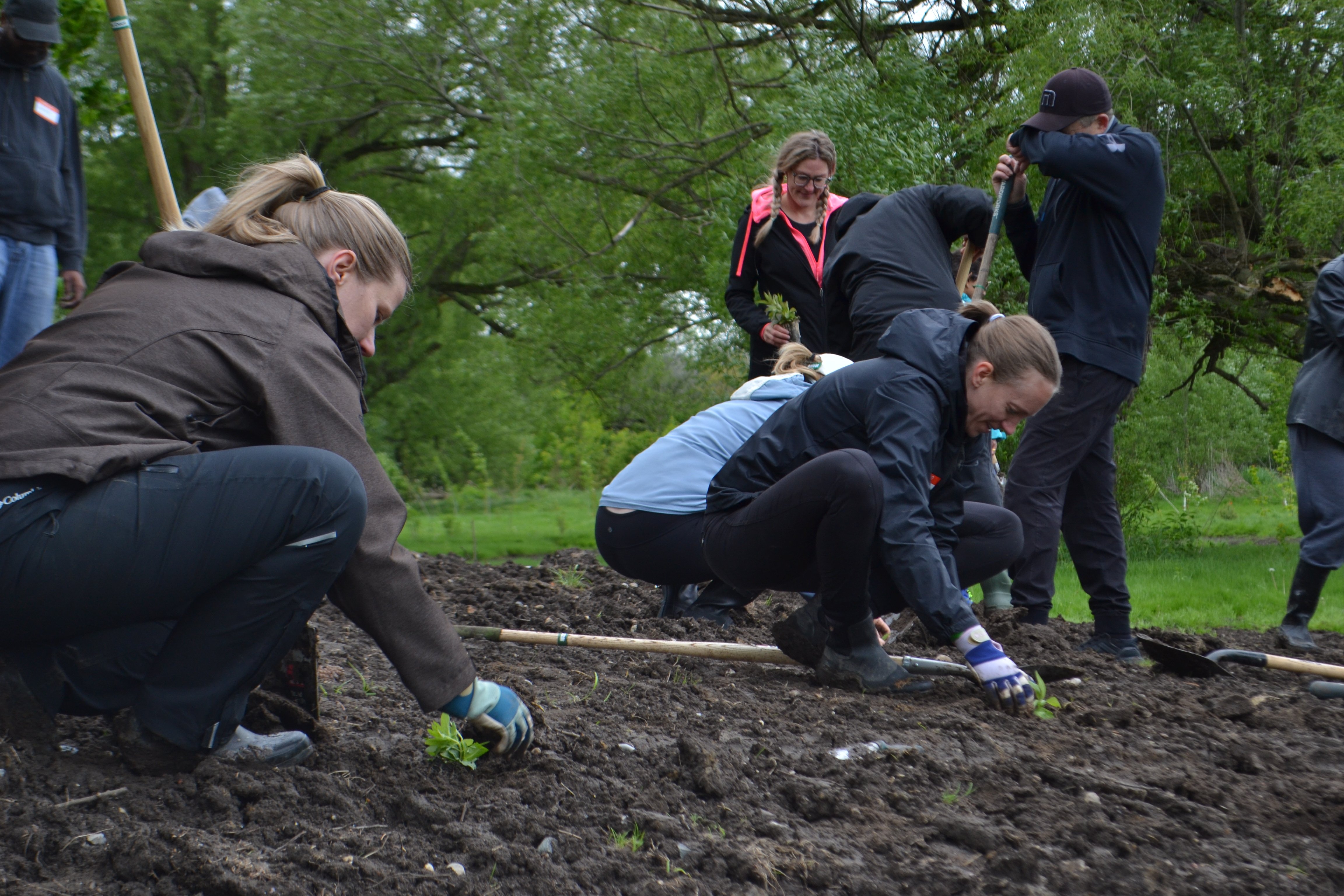 Two women crouching down while planting