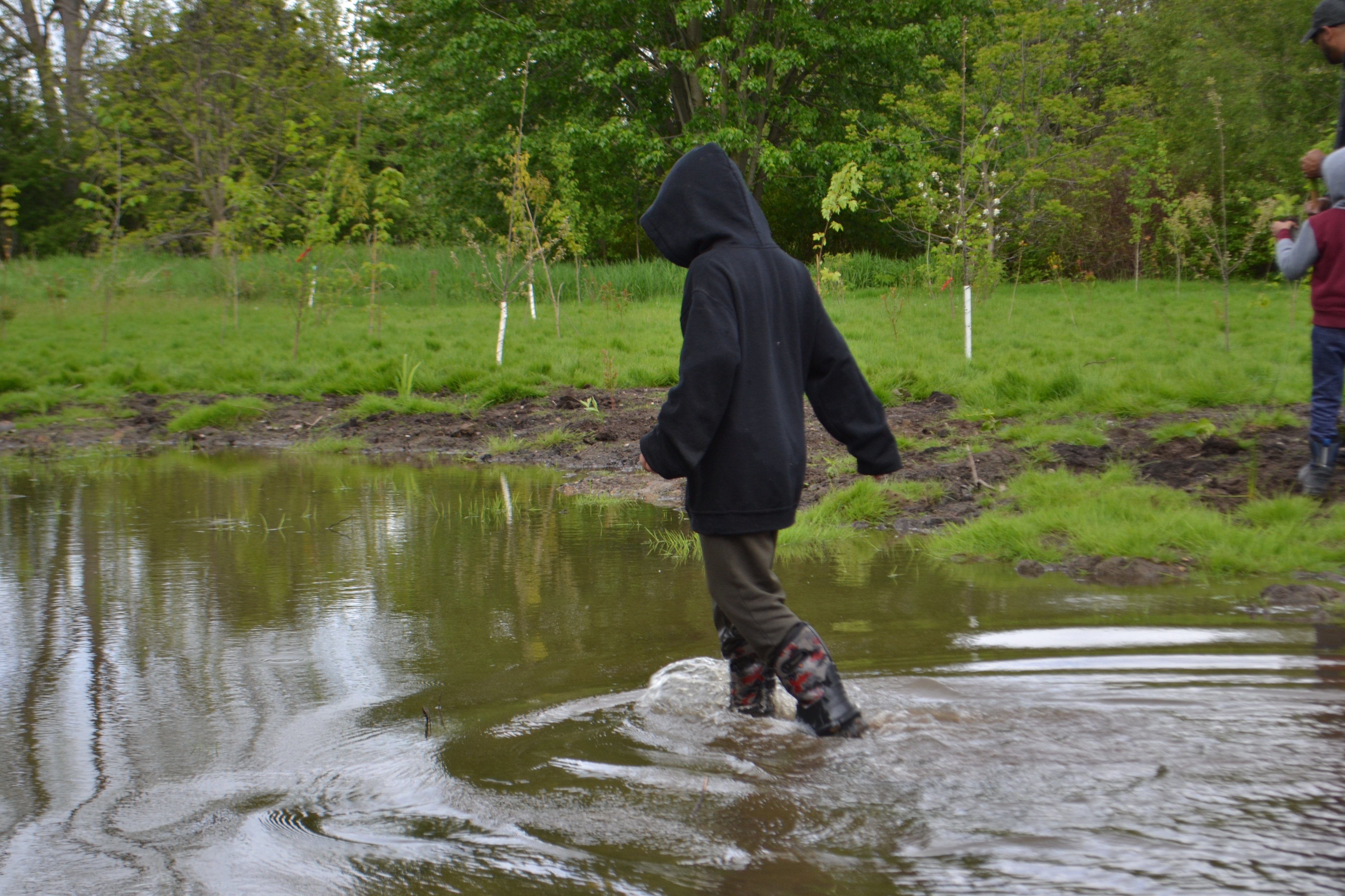 Child wading through water